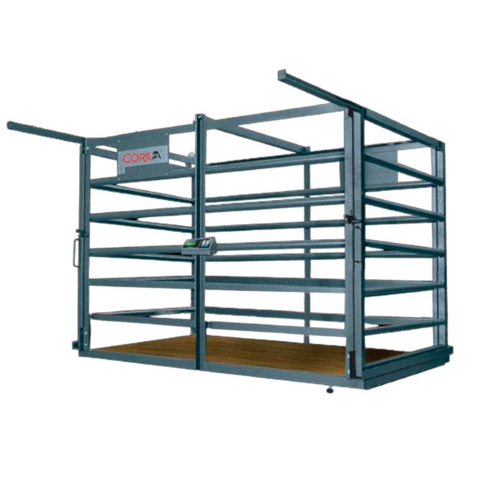 Báscula electrónica agropecuario piso Corila 1,500kg/500g mod. CP-1500GP